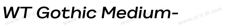 WT Gothic Medium字体转换